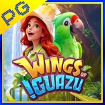 WINGS OF GUAZU BANDARBOLA855