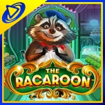THE RACAROON BANDARBOLA855